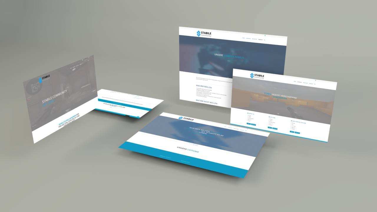 Mockup von diesc.de